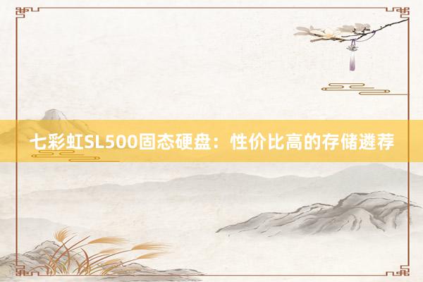 七彩虹SL500固态硬盘：性价比高的存储遴荐